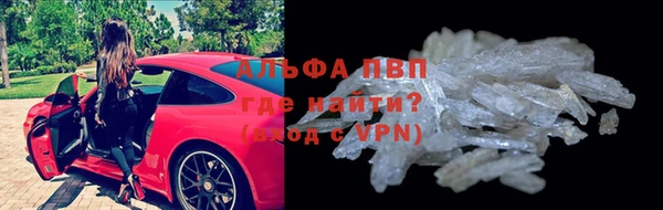 СК Балахна