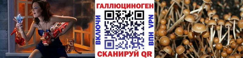 где купить наркоту  Новоалександровск  Галлюциногенные грибы мухоморы 